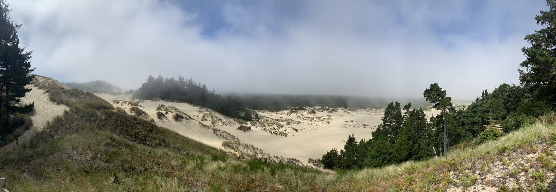 Sand dunes surrounded by grass and forest in the distance with low hanging clouds